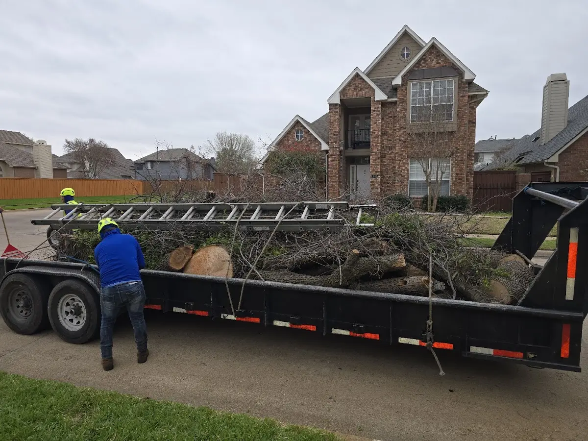 Expert Tree Fertilization with proper safety equipment in Fisk